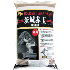 Fino AKADAMA Ibaraki doble linea roja