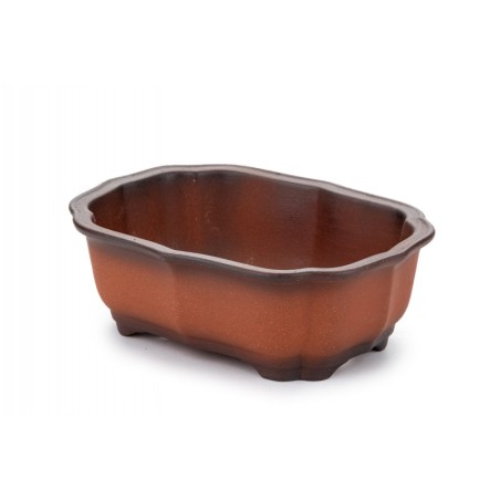 Maceta Bonsái Yixing 14