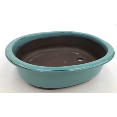 Maceta Bonsái Yokkaichi 25