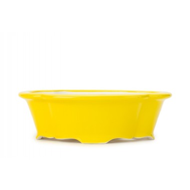Maceta Bonsái Yixing ZZ-136GR
