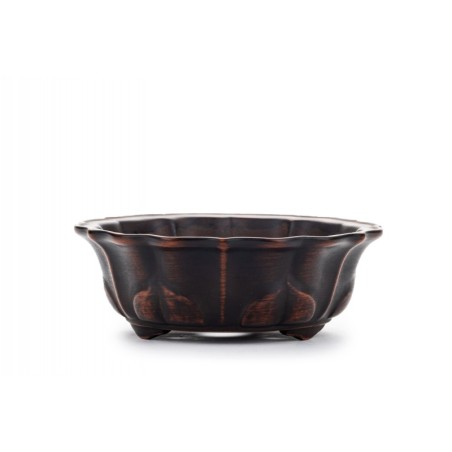 Maceta Bonsái Yixing ZZ-069