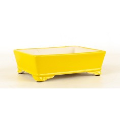 Maceta Bonsái Yixing SCF-Y016