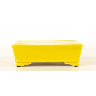 Maceta Bonsái Yixing SCF-Y016