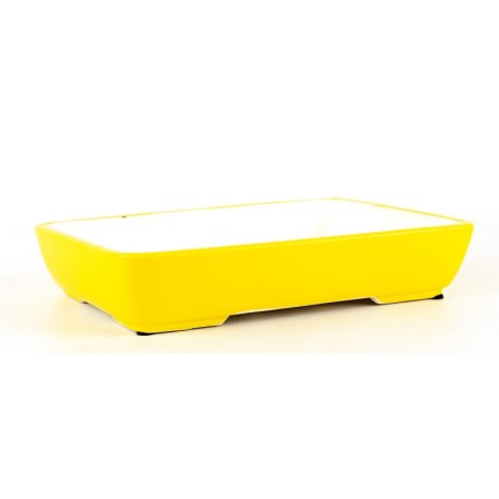 Maceta Bonsái Yixing SCF-Y026