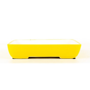 Maceta Bonsái Yixing SCF-Y026