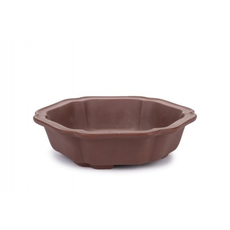 Maceta Bonsái Yixing RAS-050