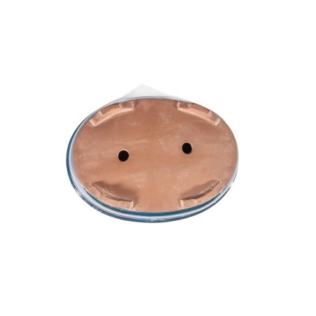 Maceta China Yixing - 5.1.551